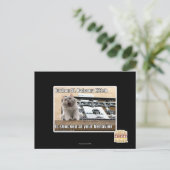 Burbon St. Balkon Kitten Briefkaart (Staand voorkant)