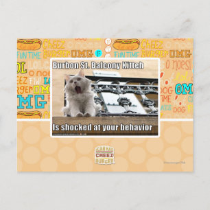 Burbon St. Balkon Kitten Briefkaart