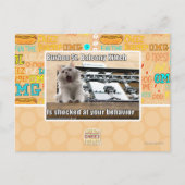 Burbon St. Balkon Kitten Briefkaart (Voorkant)