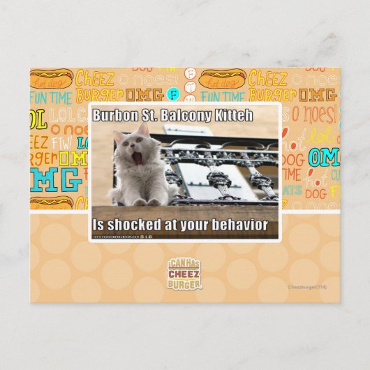 Burbon St. Balkon Kitten Briefkaart (Voorkant)
