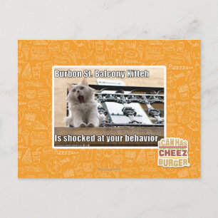 Burbon St. Balkon Kitten Briefkaart