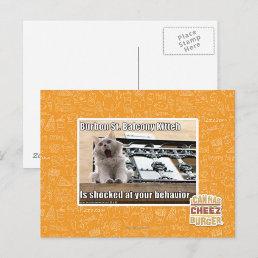 Burbon St. Balkon Kitten Briefkaart (Voorkant / Achterkant)