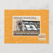 Burbon St. Balkon Kitten Briefkaart (Voorkant)