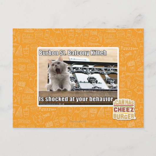 Burbon St. Balkon Kitten Briefkaart (Voorkant)