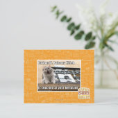 Burbon St. Balkon Kitten Briefkaart (Staand voorkant)