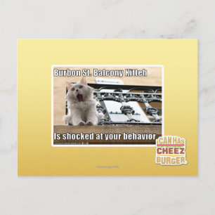 Burbon St. Balkon Kitten Briefkaart