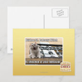 Burbon St. Balkon Kitten Briefkaart (Voorkant / Achterkant)