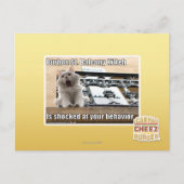 Burbon St. Balkon Kitten Briefkaart (Voorkant)