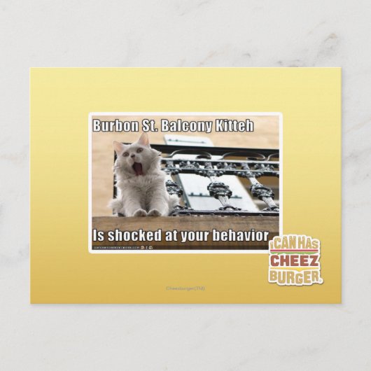 Burbon St. Balkon Kitten Briefkaart (Voorkant)