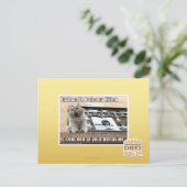 Burbon St. Balkon Kitten Briefkaart (Staand voorkant)