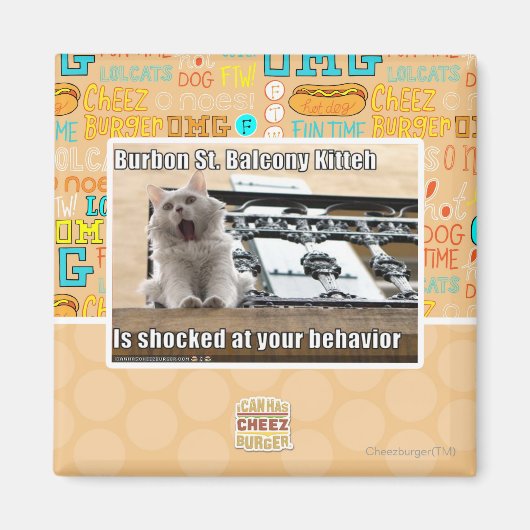 Burbon St. Balkon Kitten Magneet (Voorkant)