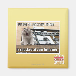 Burbon St. Balkon Kitten Magneet