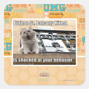 Burbon St. Balkon Kitten Vierkante Sticker