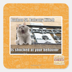 Burbon St. Balkon Kitten Vierkante Sticker