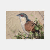 Burchell's Coucal Fleece Deken (Voorkant (Horizontaal))