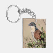 Burchell's Coucal Sleutelhanger (Voorkant Links)