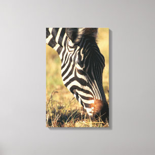 Burchells zebra canvas afdruk