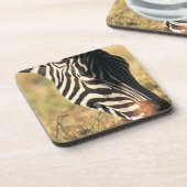 Burchell's zebra drankjes onderzetter (Linkerzijde)