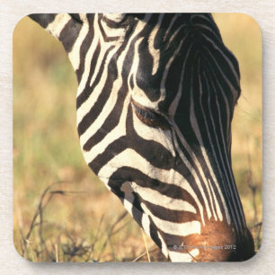 Burchell's zebra drankjes onderzetter