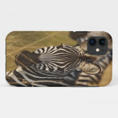 Burchell's Zebra in het zomergras, Masai Case-Mate iPhone Case (Achterkant (horizontaal))