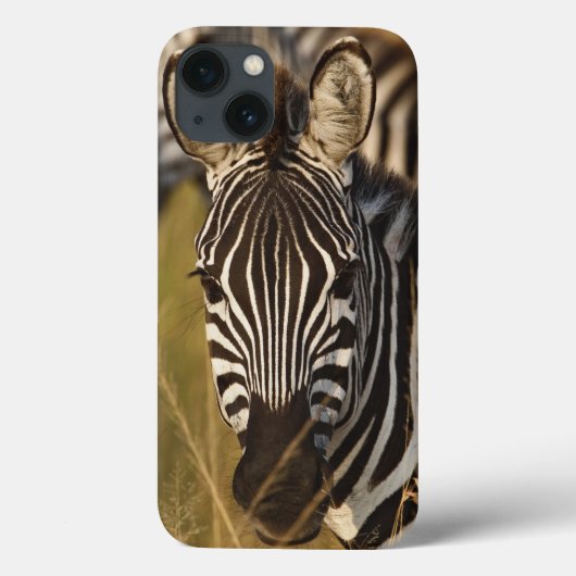 Burchell's Zebra in het zomergras, Masai Case-Mate iPhone Case (Achterkant)