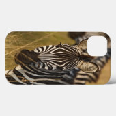 Burchell's Zebra in het zomergras, Masai Case-Mate iPhone Case (Achterkant (horizontaal))