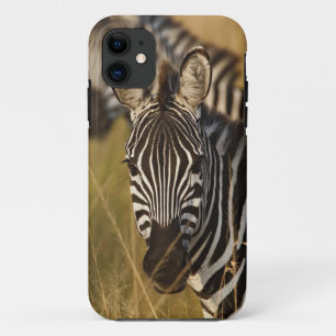 Burchell's zebra in hoog zomergras, Masai Case-Mate iPhone Case