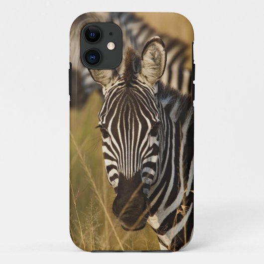Burchell's zebra in hoog zomergras, Masai Case-Mate iPhone Case (Achterkant)