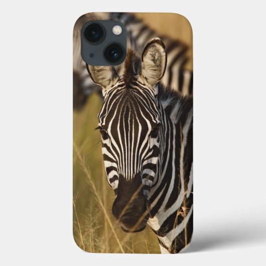 Burchell's zebra in hoog zomergras, Masai Case-Mate iPhone Case (Achterkant)