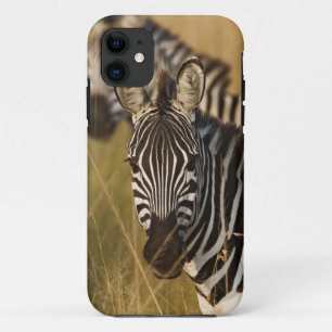 Burchell's zebra in hoog zomergras, Masai Case-Mate iPhone Case