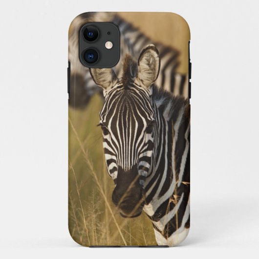Burchell's zebra in hoog zomergras, Masai Case-Mate iPhone Case (Achterkant)
