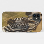 Burchell's zebra in hoog zomergras, Masai Case-Mate iPhone Case (Achterkant (horizontaal))