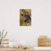 Burchell's zebra in hoog zomergras, Masai Poster (Keuken)