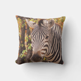 Burchell's Zebra met veranderende seizoenen vallen Kussen