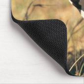 Burchells zebra muismat (Hoek)