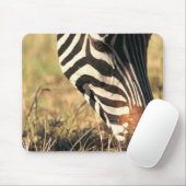 Burchells zebra muismat (Met muis)