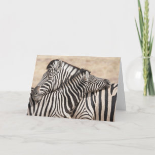 Burchell's Zebras Necking Kaart