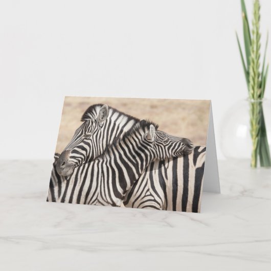 Burchell's Zebras Necking Kaart (Voorkant)