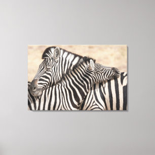 Burchells zebra's nekgevecht canvas afdruk