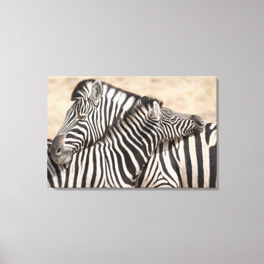 Burchells zebra's nekgevecht canvas afdruk (Voorkant)