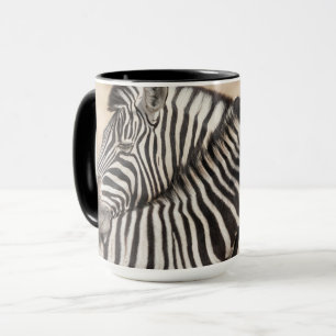 Burchells zebra's nekgevecht mok