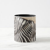 Burchells zebra's nekgevecht mok (Midden)