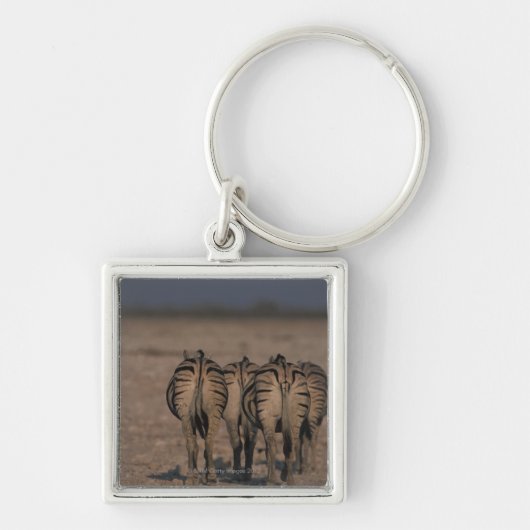 Burchell's Zebras Walking Sleutelhanger (Voorkant)