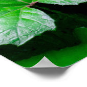 Burdock Leaves - Abstracte foto van Natuur Poster (Hoek)
