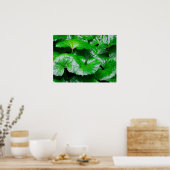 Burdock Leaves - Abstracte foto van Natuur Poster (Keuken)