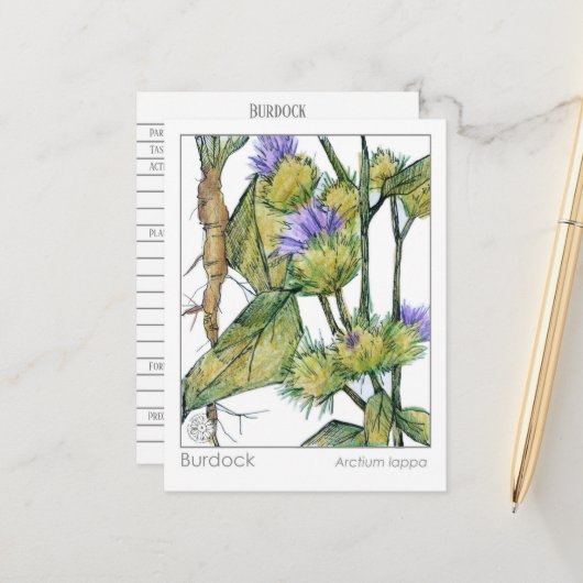 Burdock Materia Medica Herbal Plant Studie Kaart (Voorkant / Achterkant in situ)