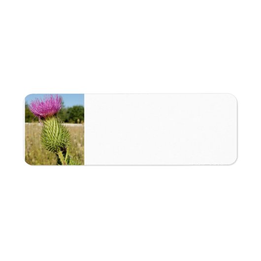 Burdock Thistle adresetiketten Etiket (Voorkant)
