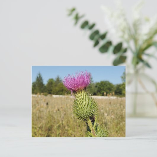 Burdock Thistle briefkaart (Staand voorkant)