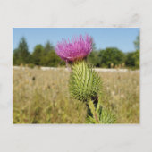 Burdock Thistle briefkaart (Voorkant)