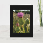 Burdock Thistle-kaart Kaart (Voorkant)